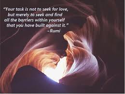 Your task is not to seek love